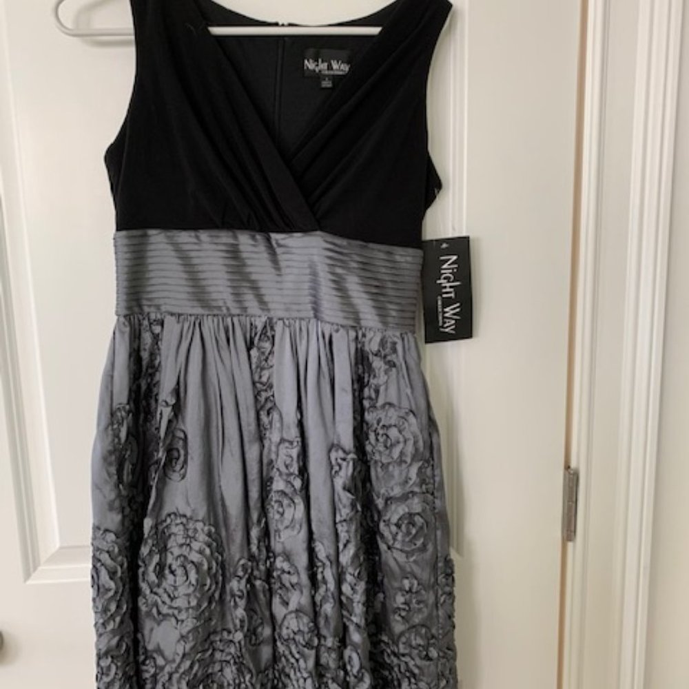 Dressy Dress